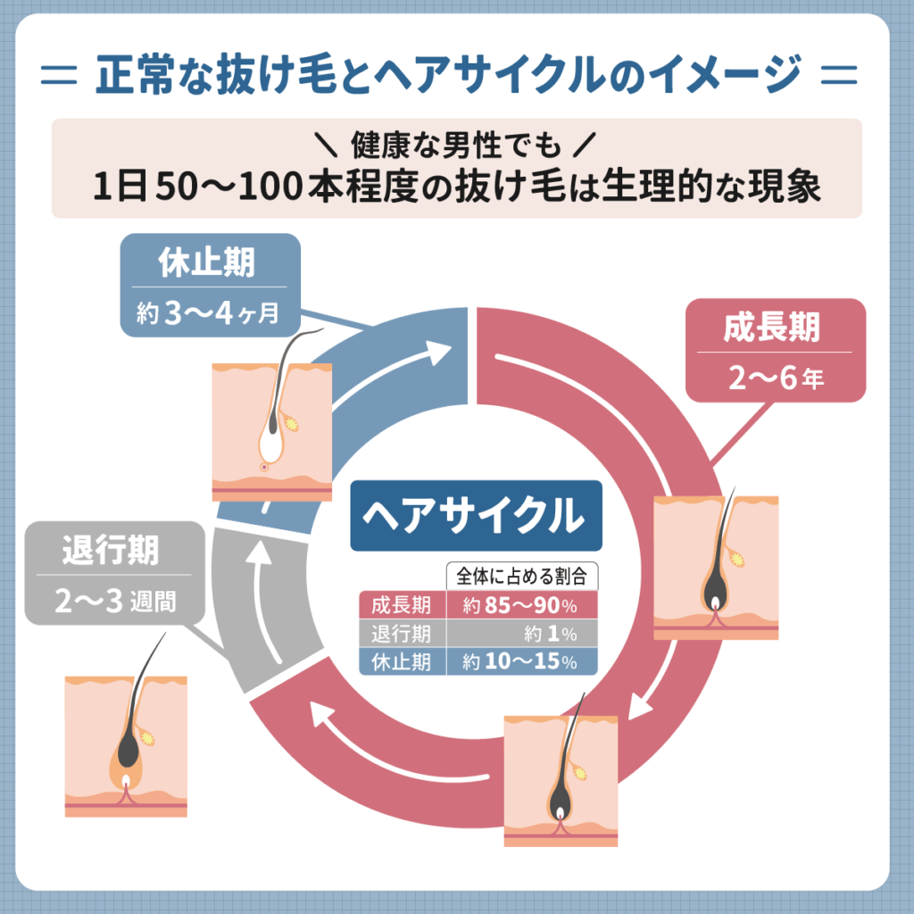 正常な抜け毛は1日50〜100本