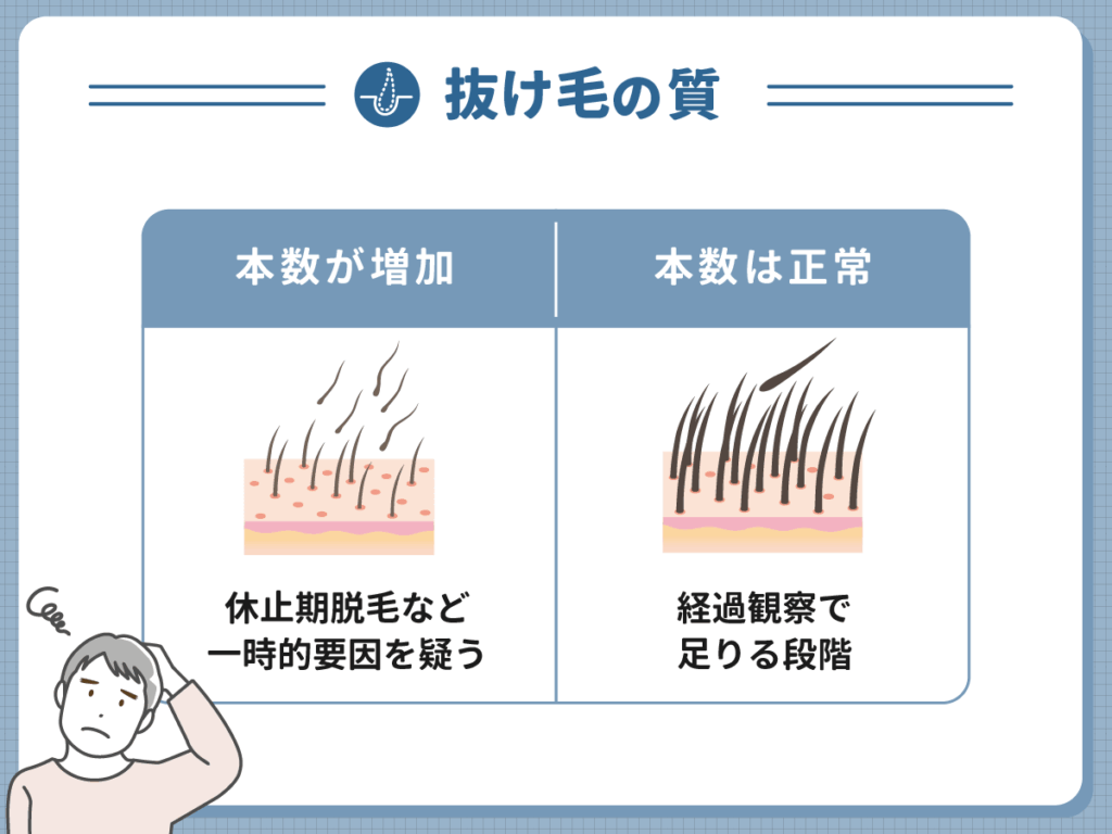 抜け毛の質と本数のマトリクスで読む現在地