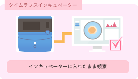 タイムラプスインキュベーター インキュベーターに入れたまま観察