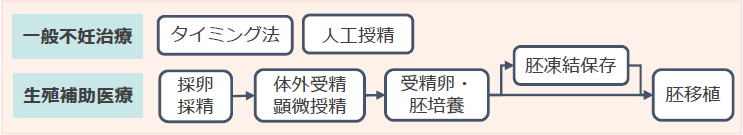 保険適用内イメージ