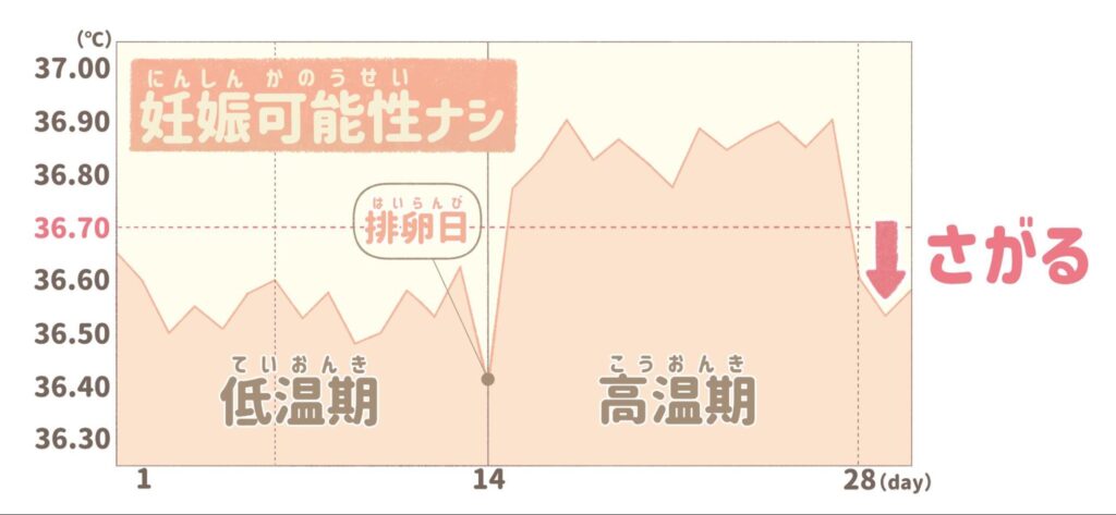 妊活 基礎体温
