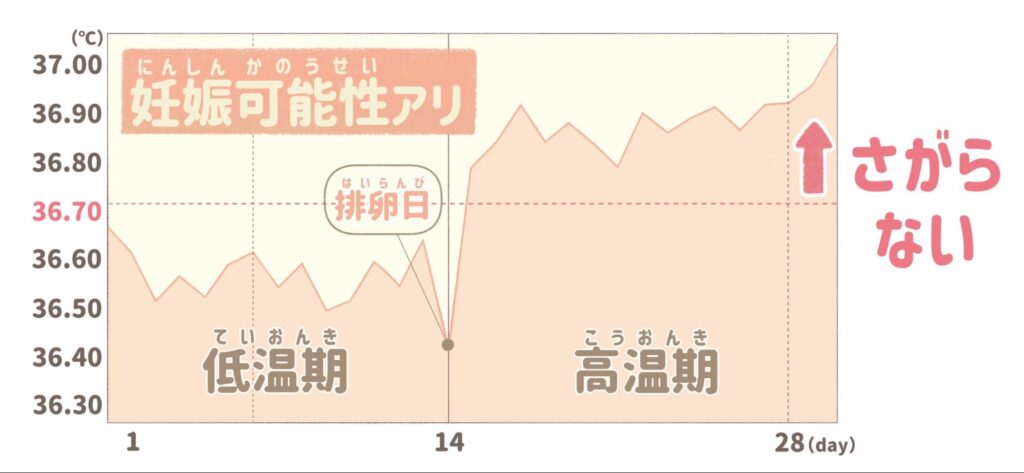 妊活 基礎体温